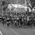 VI Maratón BP Castellón