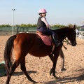 Club Hípico Mediterráneo