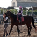 Club Hípico Mediterráneo