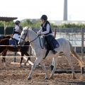 Club Hípico Mediterráneo