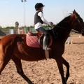 Club Hípico Mediterráneo