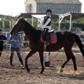 Club Hípico Mediterráneo