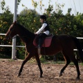 Club Hípico Mediterráneo