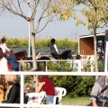 Club Hípico Mediterráneo