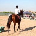 Club Hípico Mediterráneo