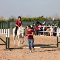 Club Hípico Mediterráneo
