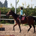 Club Hípico Mediterráneo