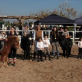 Club Hípico Mediterráneo