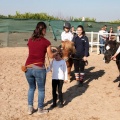 Club Hípico Mediterráneo