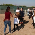 Club Hípico Mediterráneo