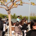 Club Hípico Mediterráneo