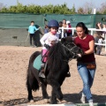 Club Hípico Mediterráneo