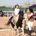 Club Hípico Mediterráneo