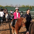 Club Hípico Mediterráneo