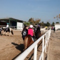 Club Hípico Mediterráneo