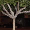 Castellón, 2015