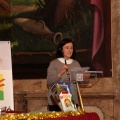 Castellón, 2015