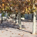 Castellón, 2015