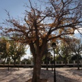 Castellón, 2015