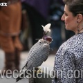 Castellón, Pregó Magdalena 2010