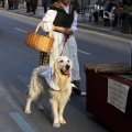 Procesión en honor a sant Antoni Abat