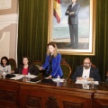 Consejo de la Ciudad de Castellón