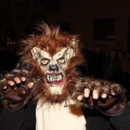 Carnestoltes 2016