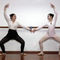 Coppelia, estudio de danza