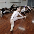 Coppelia, estudio de danza
