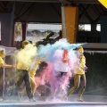 Run of Colors