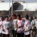 Run of Colors