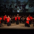 Premios Moros d´Alquería 2016