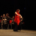 Premios Moros d´Alquería 2016
