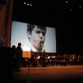 Premios Moros d´Alquería 2016