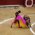 Feria taurina de la Magdalena