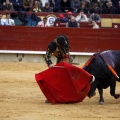 Feria taurina de la Magdalena