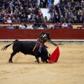 Feria taurina de la Magdalena