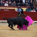 Feria taurina de la Magdalena