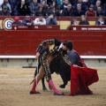 Feria taurina de la Magdalena