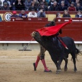 Feria taurina de la Magdalena