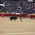 Feria taurina de la Magdalena