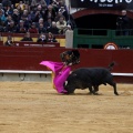 Feria taurina de la Magdalena