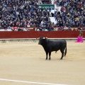 Feria taurina de la Magdalena