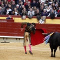 Feria taurina de la Magdalena