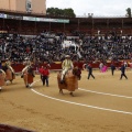 Feria taurina de la Magdalena