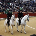 Feria taurina de la Magdalena