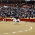 Feria taurina de la Magdalena