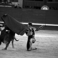 Feria de la Magdalena