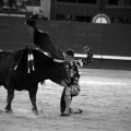 Feria de la Magdalena