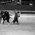 Feria de la Magdalena